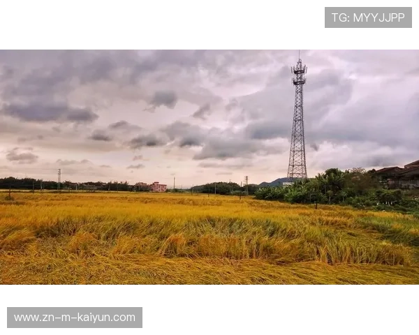 台山浮石村孕育华利磨学会　中国农民排球精神薪火相传